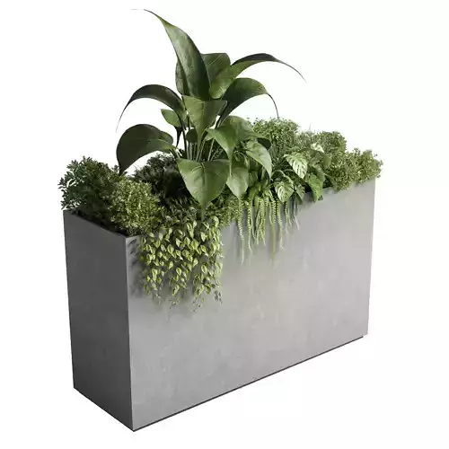 Box Plants on Stand of houseplants outdoor concrete vase