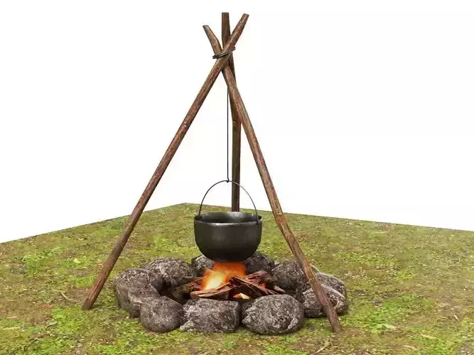 Bonfire Campfire 3D model