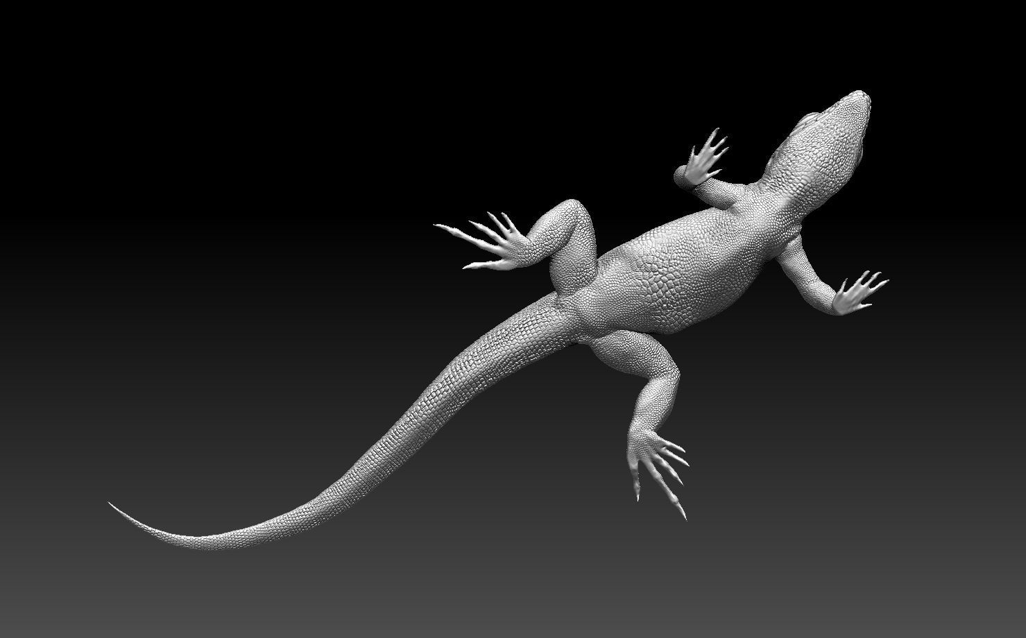 lizard 3D print model_12