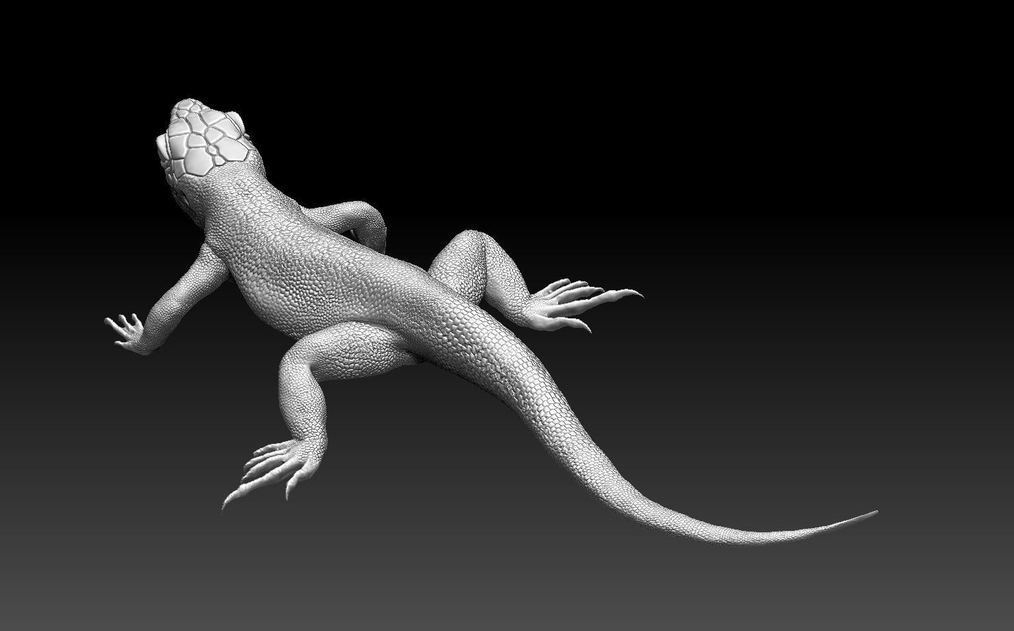 lizard 3D print model_4