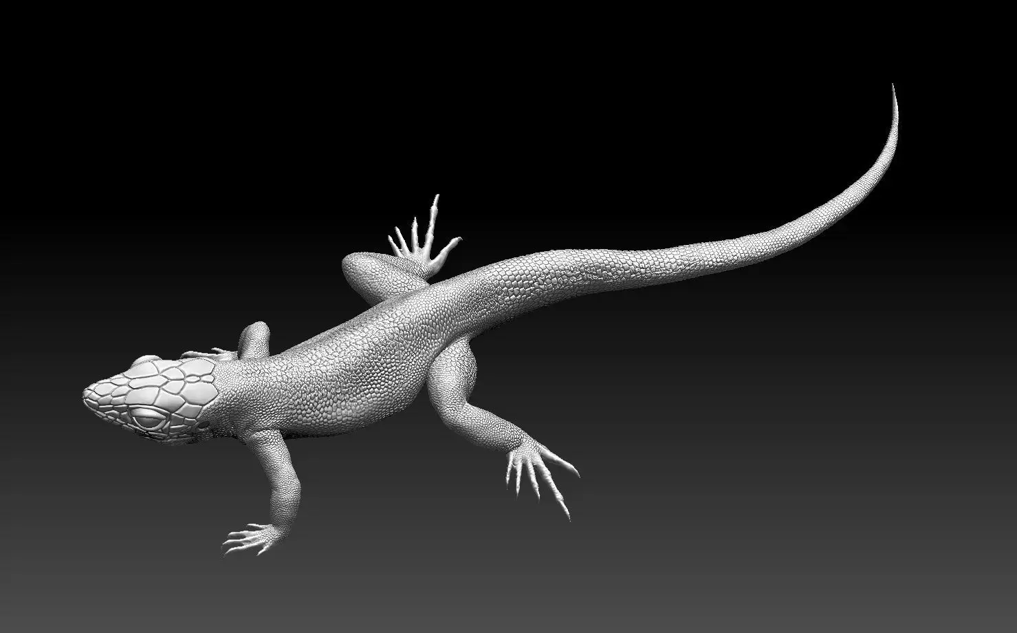 lizard 3D print model_0