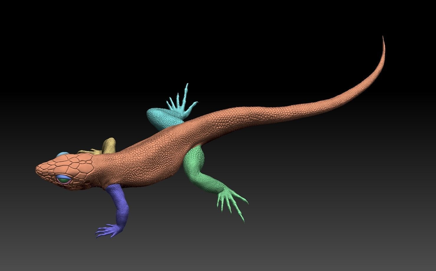 lizard 3D print model_14