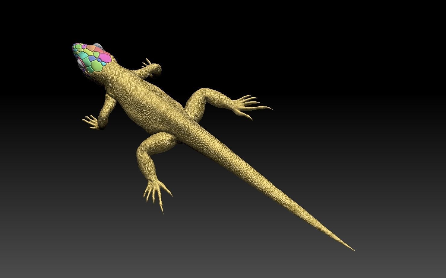 lizard 3D print model_15