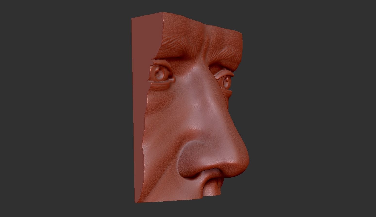 Male Face 3D print model_2