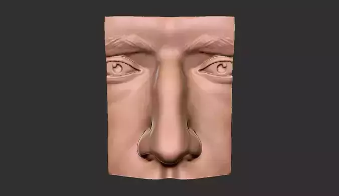 Male Face 3D print model