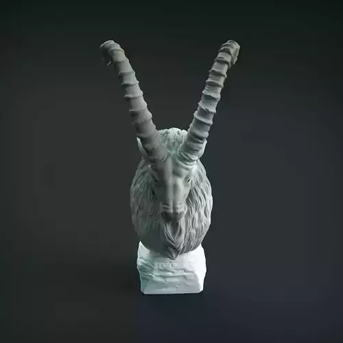 Siberian Ibex Bust for 3D Printing 3D print model