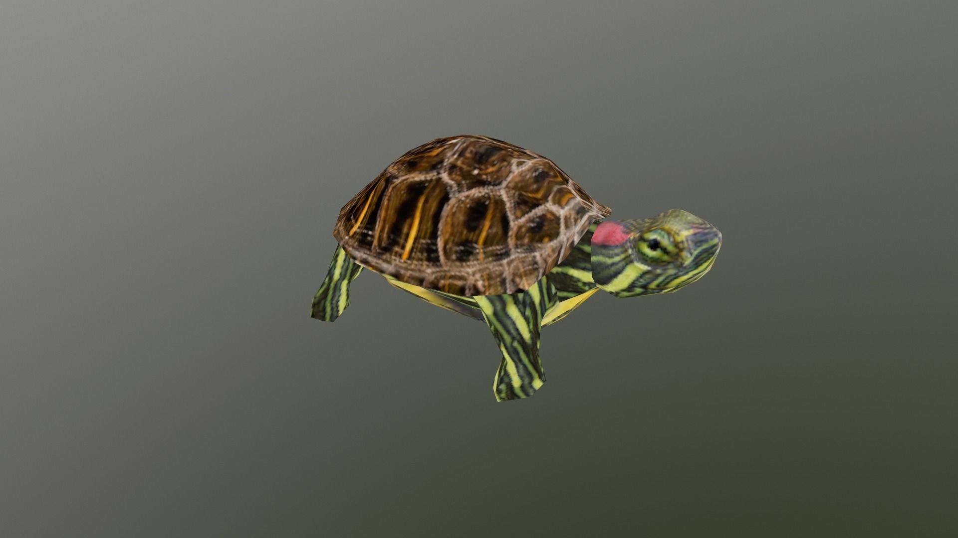 PSX Style Turtle Low-poly 3D model_5