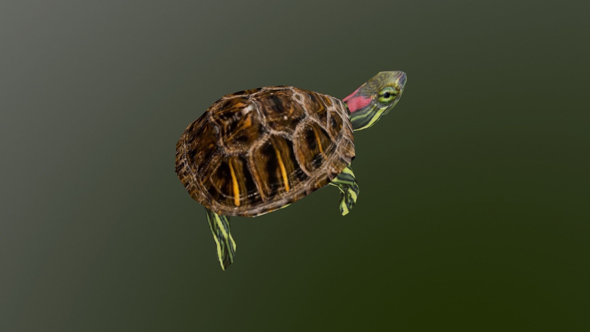 PSX Style Turtle Low-poly 3D model_6