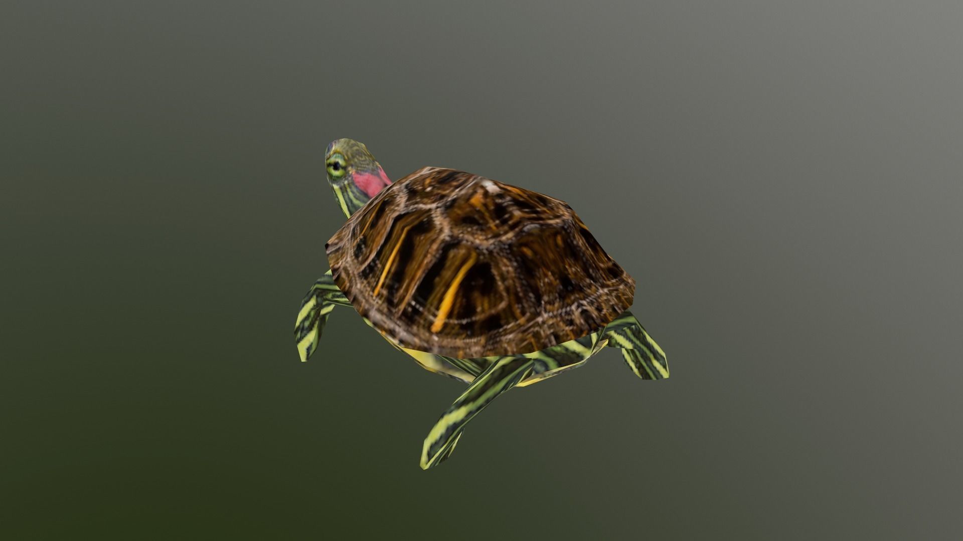 PSX Style Turtle Low-poly 3D model_4