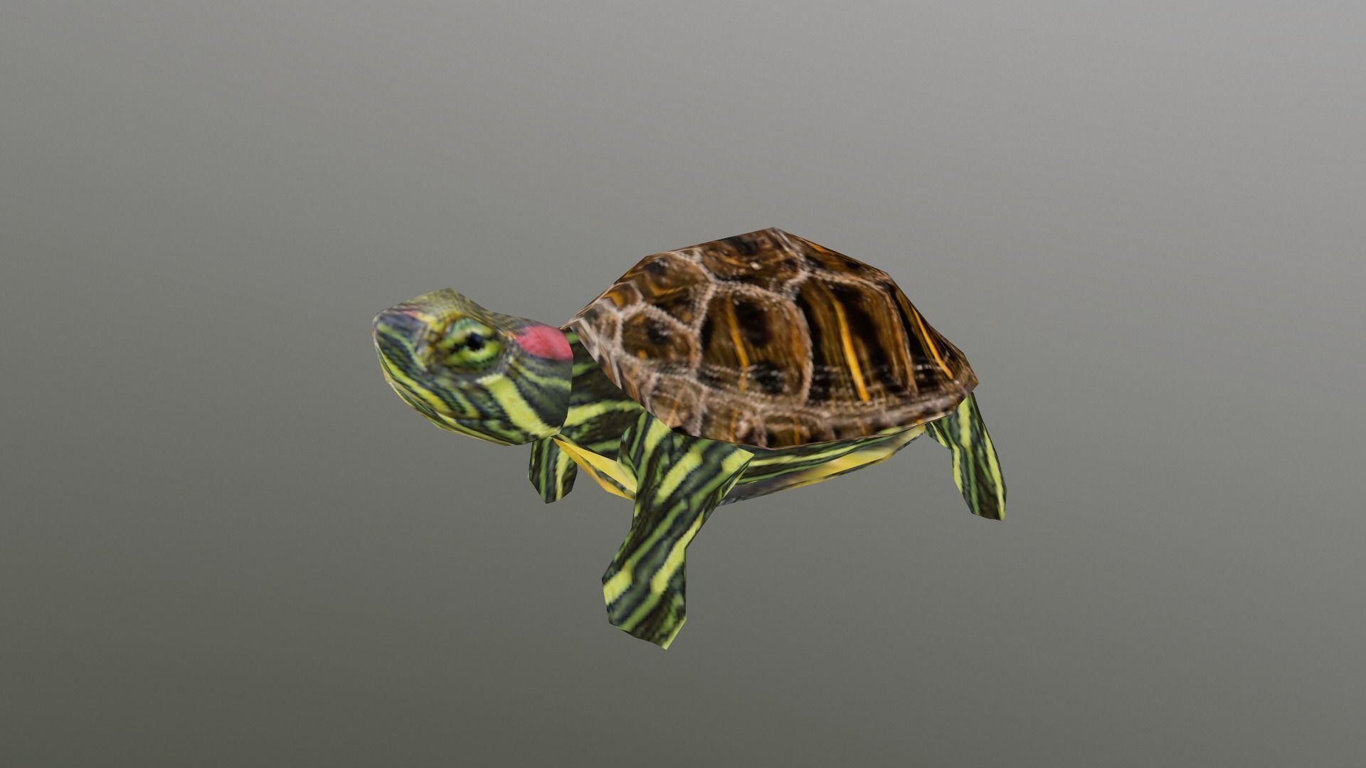 PSX Style Turtle Low-poly 3D model_8