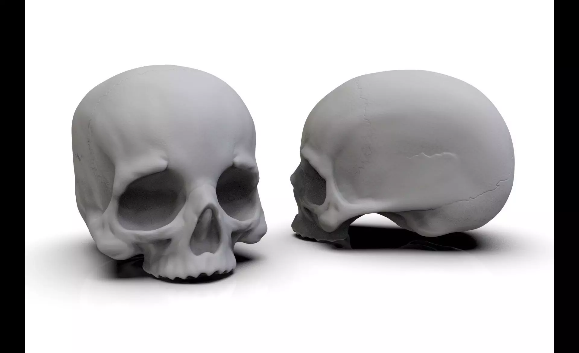 Skull No Jaw For 3D Printing 3D print model_0