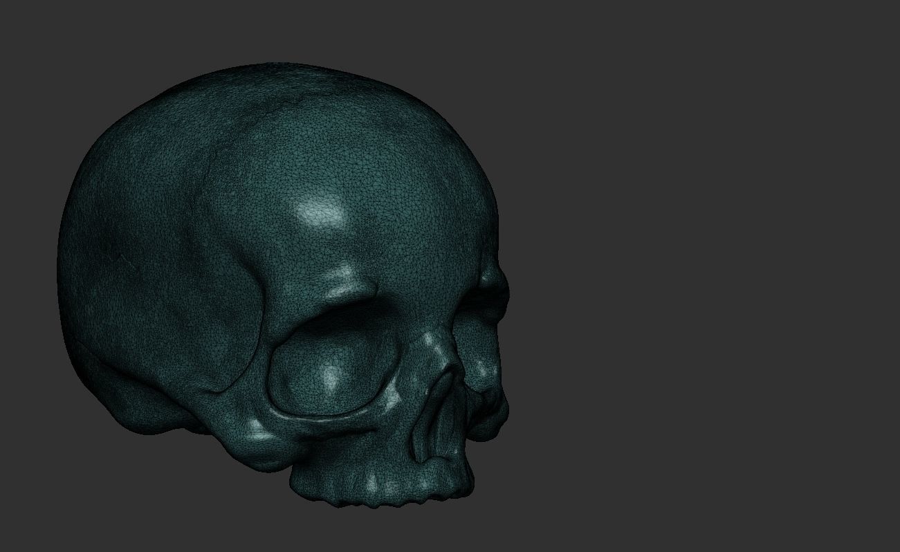 Skull No Jaw For 3D Printing 3D print model_1