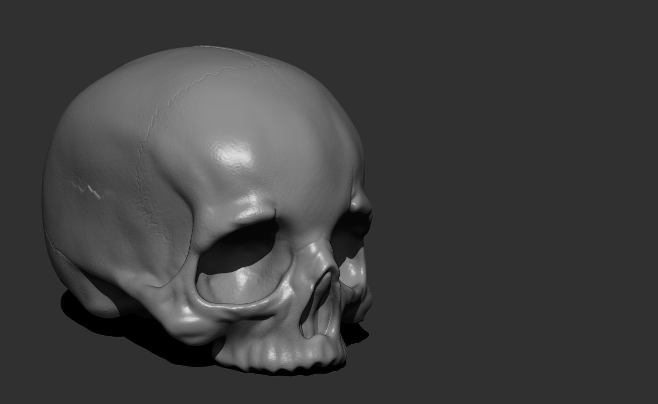 Skull No Jaw For 3D Printing 3D print model_2