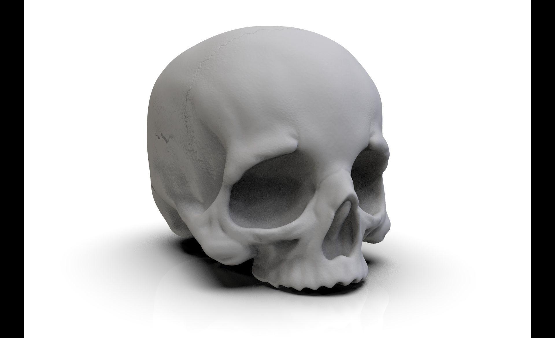 Skull No Jaw For 3D Printing 3D print model_4