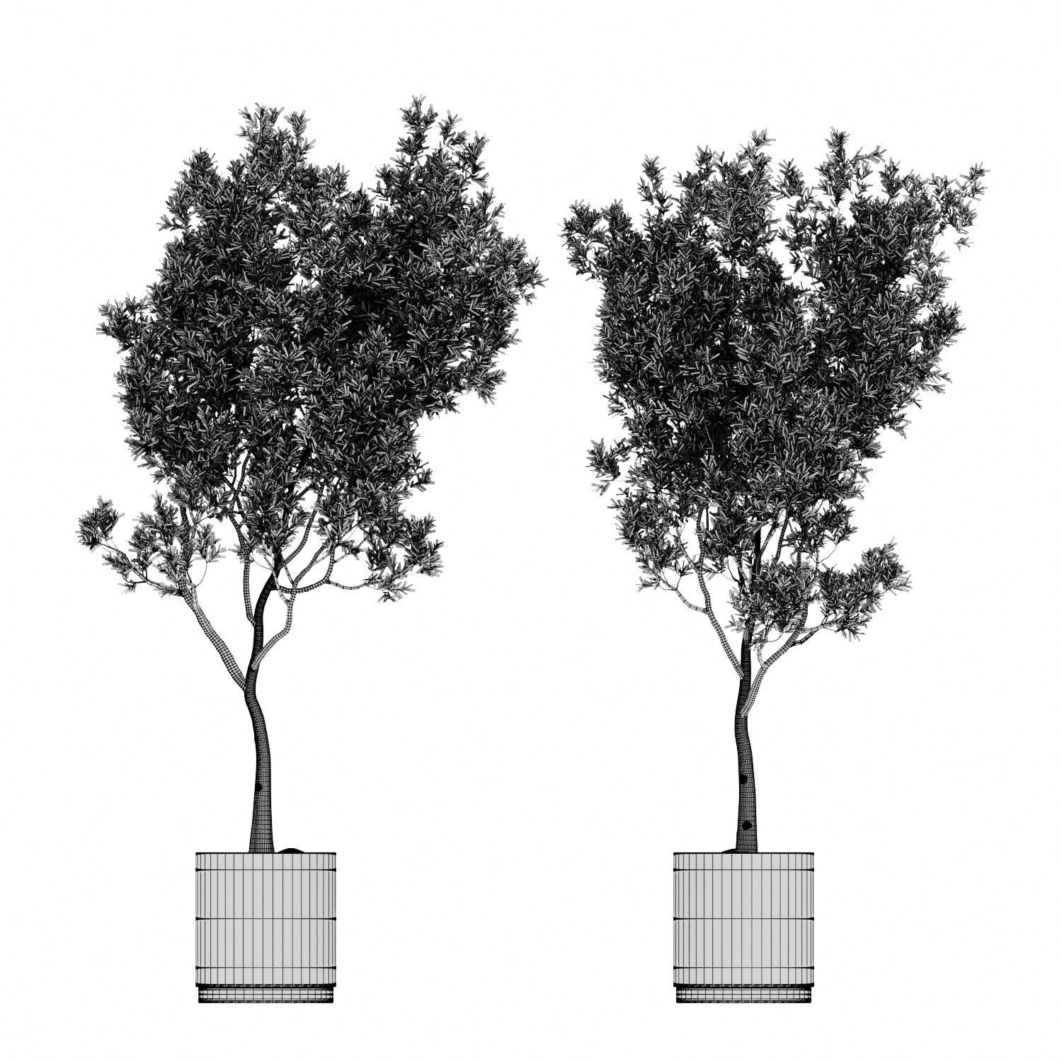 Olive tree in an pattern concrete vase indoor 195 3D model_6