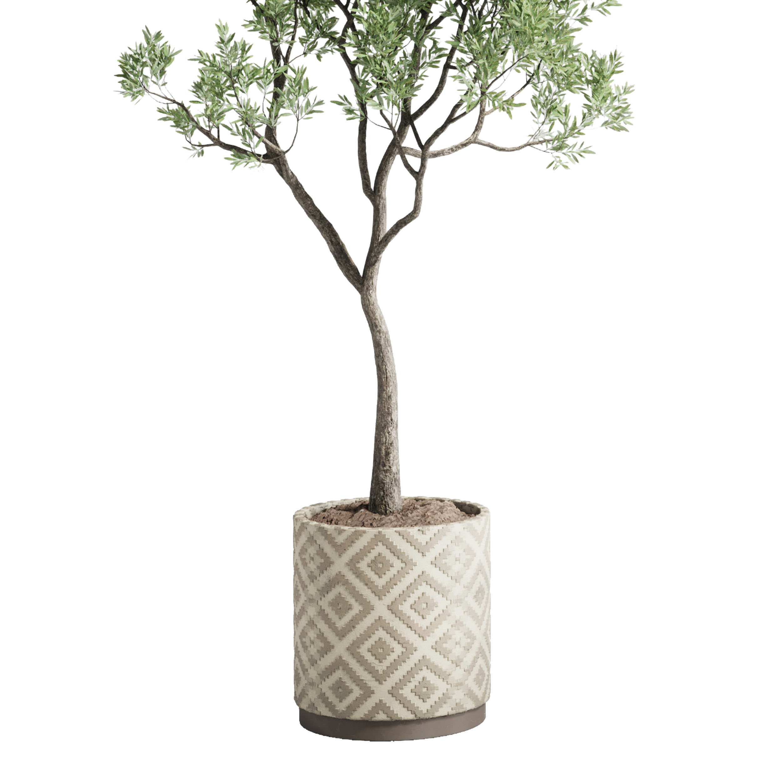 Olive tree in an pattern concrete vase indoor 195 3D model_1