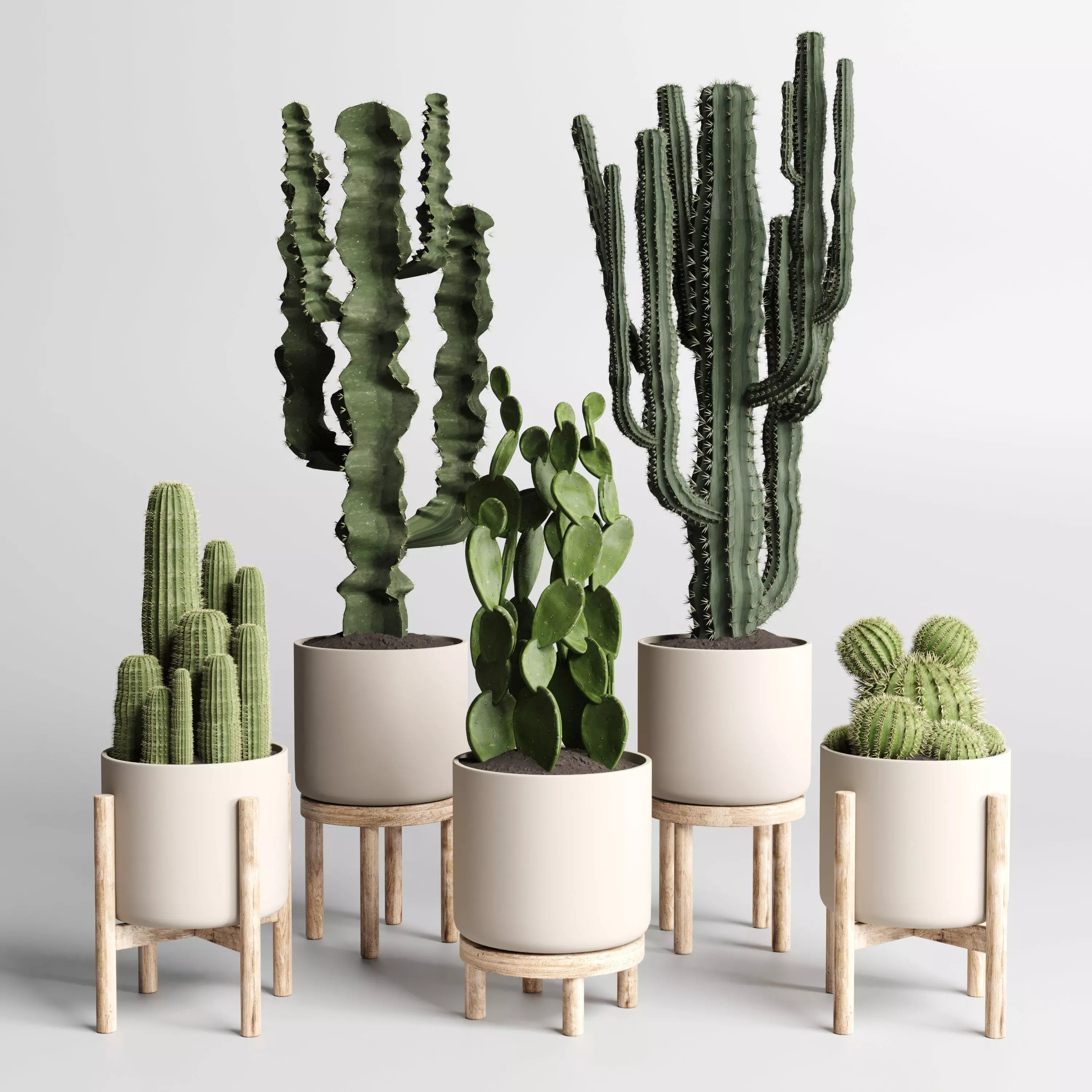 cactus pot wood vase collection indoor plant 186 3D model