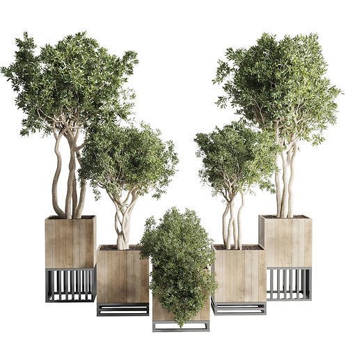 wooden Box Plants on Stand  of houseplants indoor 193 3D model