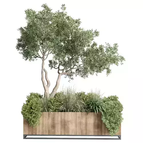 Box Plants on Stand  of houseplants indoor 192