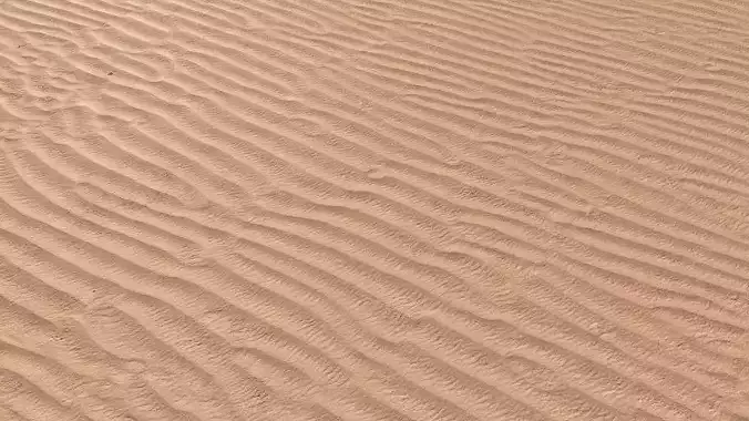 Sand Beach 05 PBR Low-poly 3D model
