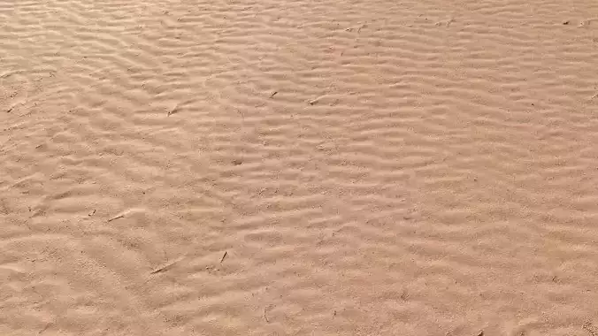 Sand Beach 06 PBR Low-poly 3D model