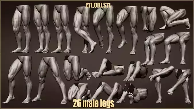 26 Male leg poses 3D model