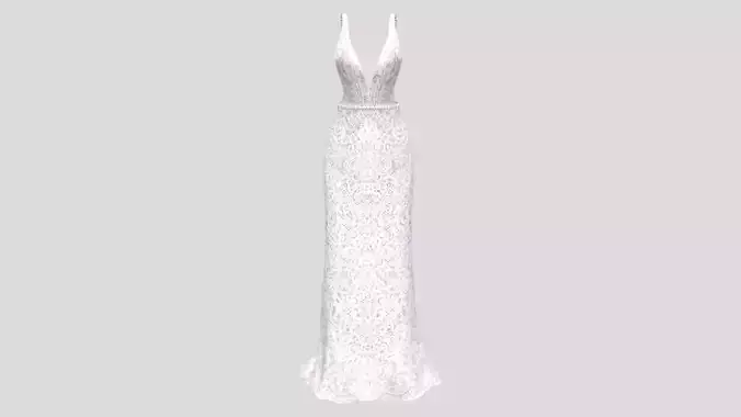 White Lace Gown