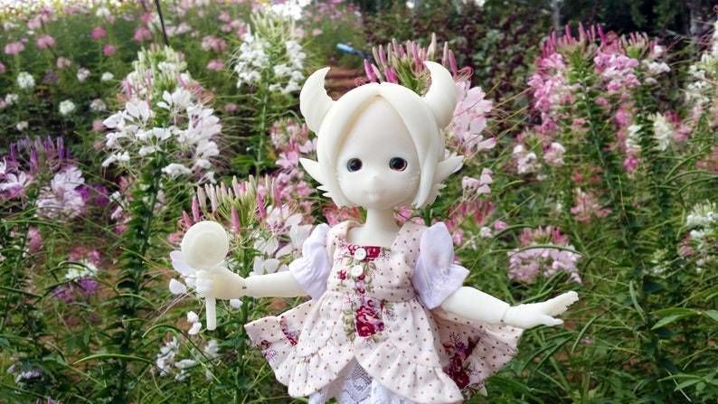 Anya Atelier - Shiro BJD series 3d print file 3D print model_8