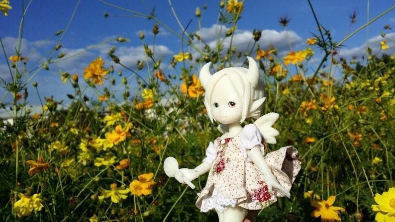 Anya Atelier - Shiro BJD series 3d print file 3D print model_6