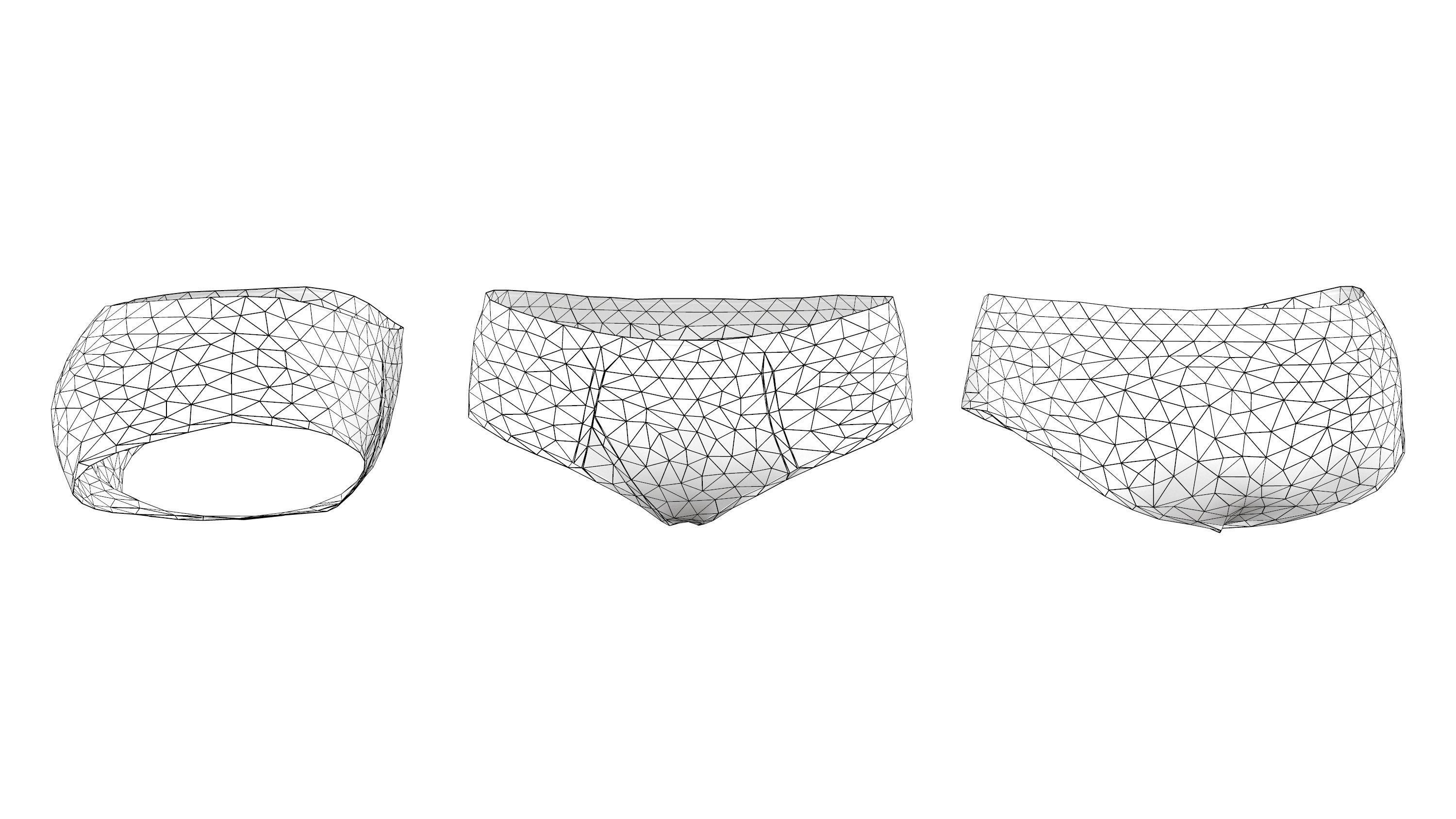 Womens Boy Briefs Low-poly 3D model_6