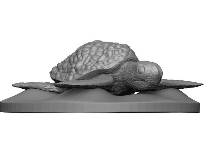 Sea Turtle 3D model