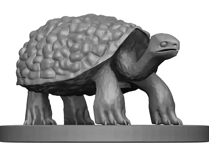 Tortoise
