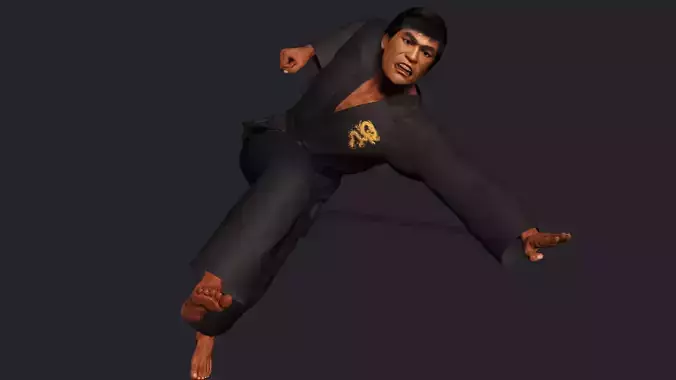 Kung Fu  High quality character full Rigged and Animated
