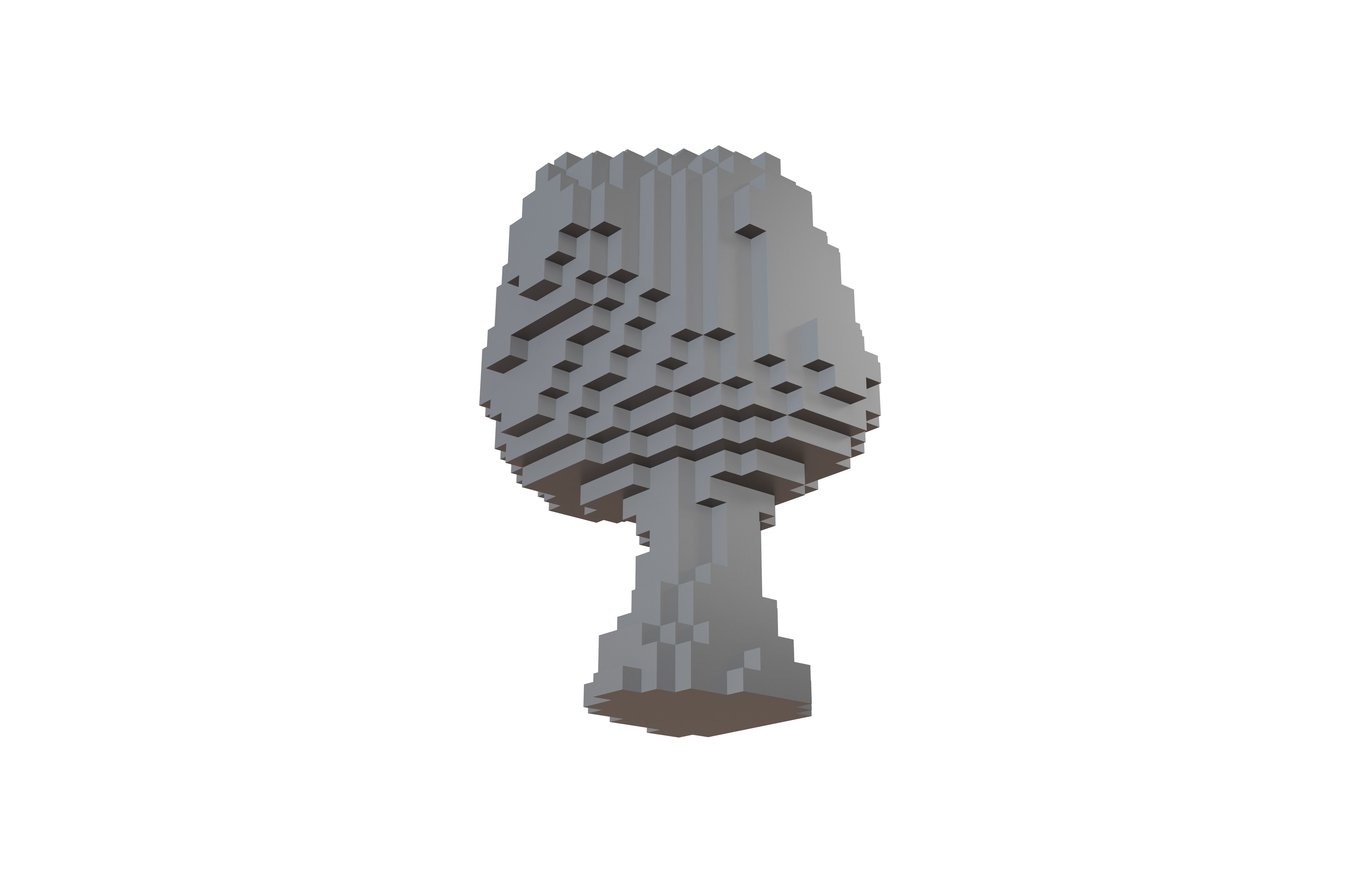 Voxel Explosion v1 001 Low-poly 3D model_3