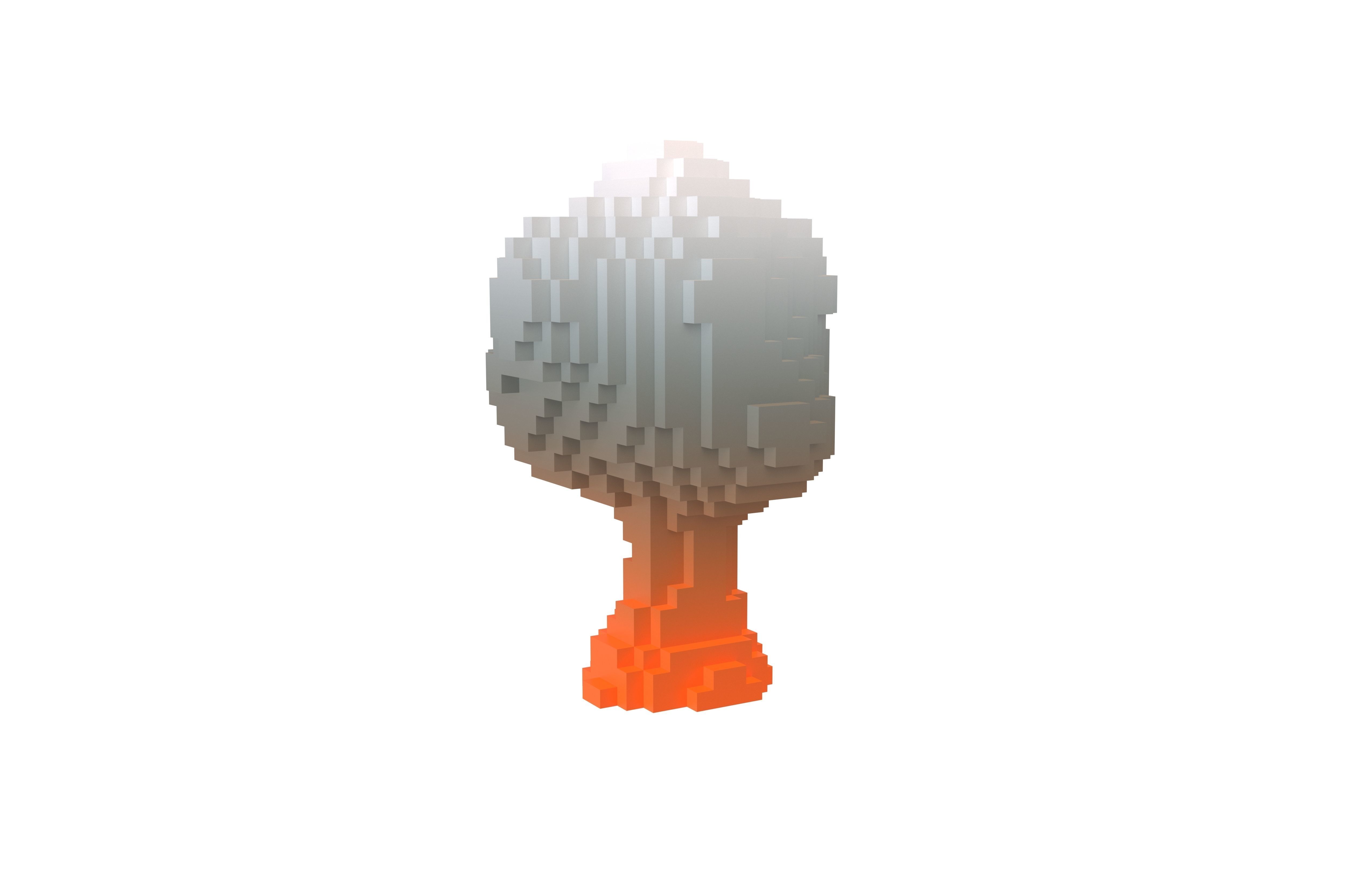 Voxel Explosion v1 003 Low-poly 3D model_1