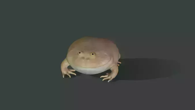 Toad Budgetts frog Free 3D model