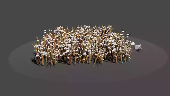 Cotton Field Low Poly