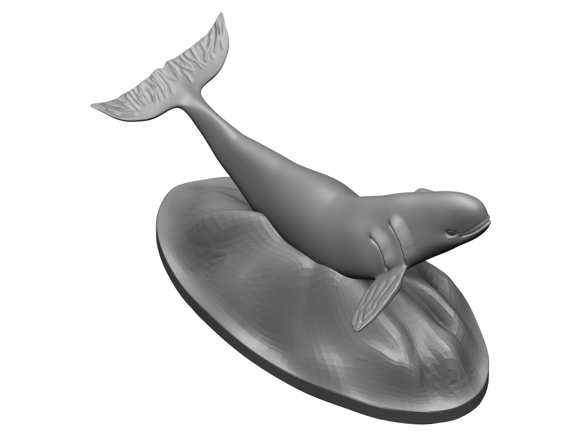 Whale 3D model_8