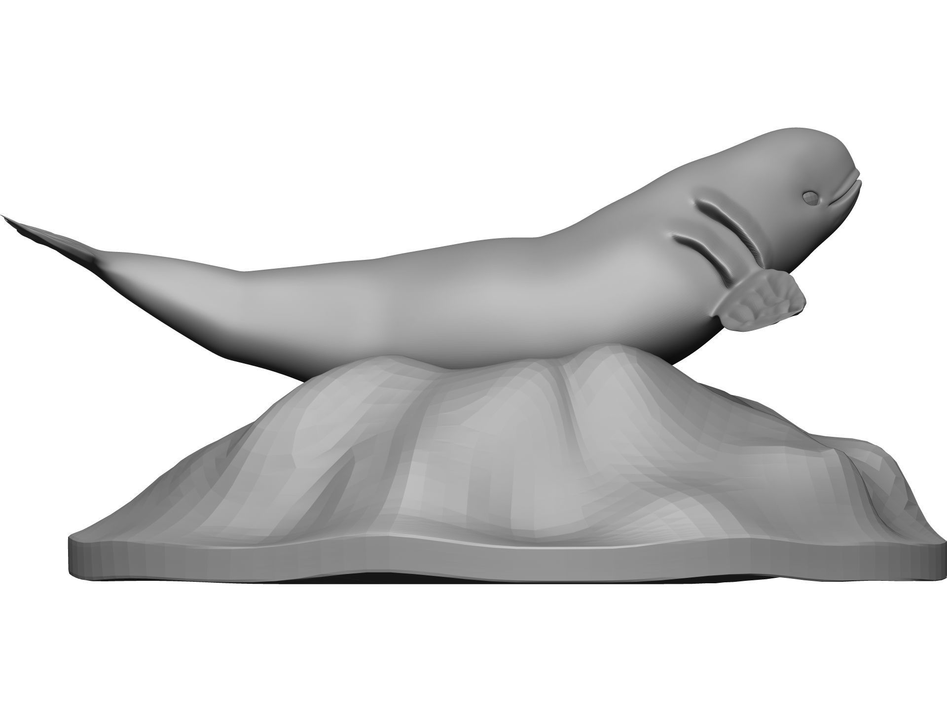 Whale 3D model_7