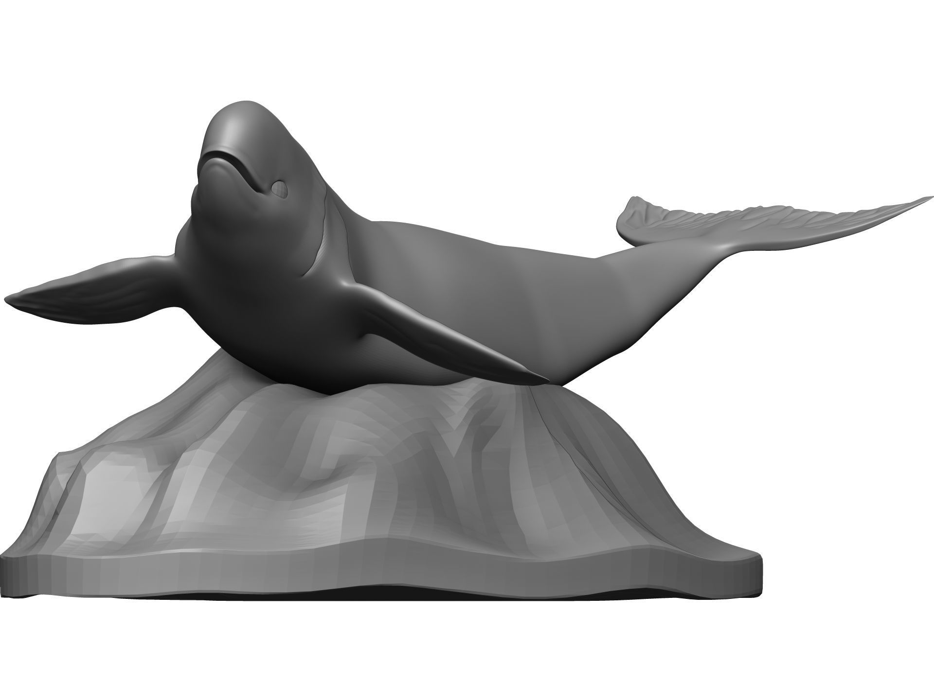 Whale 3D model_2