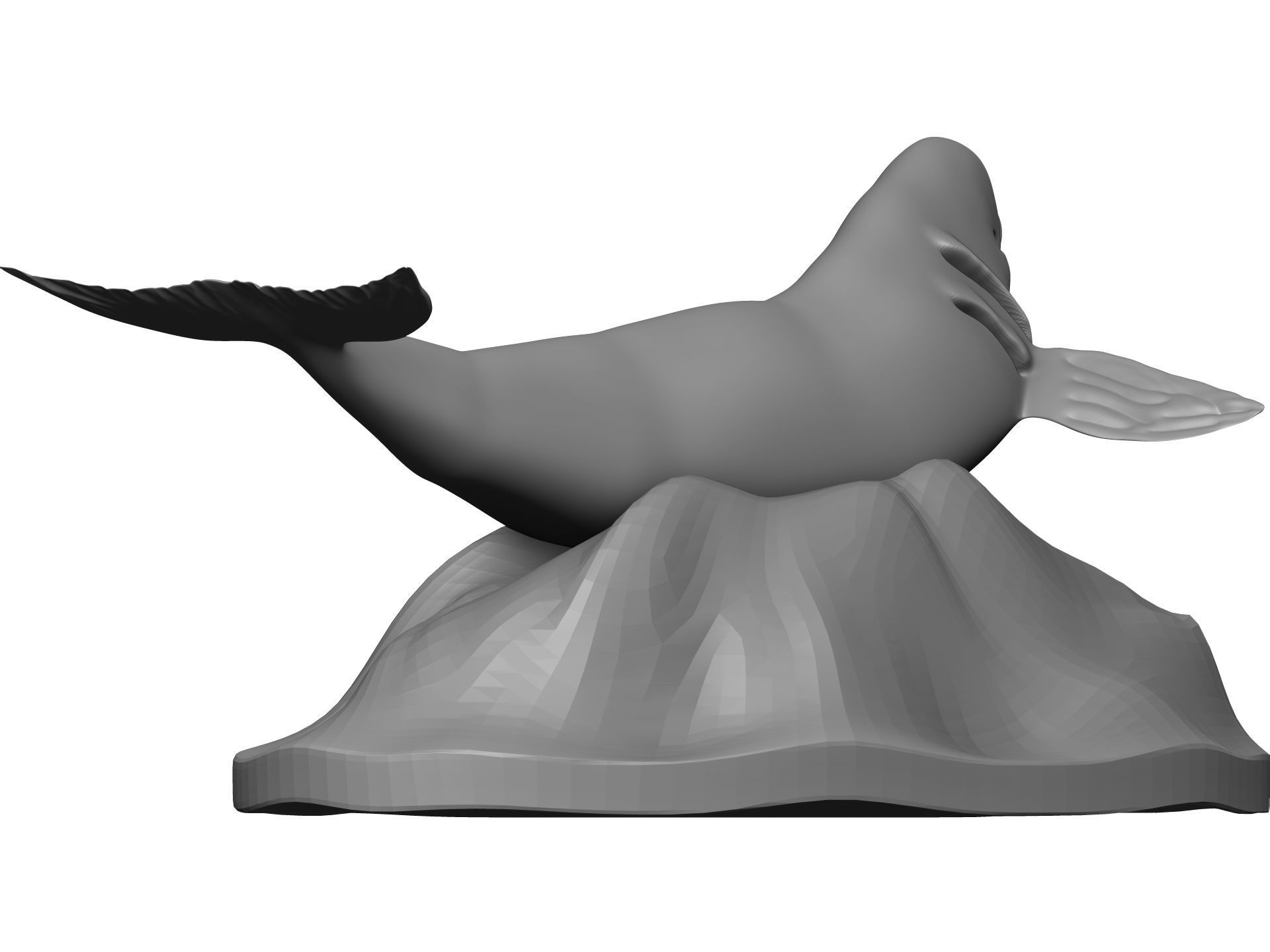 Whale 3D model_6