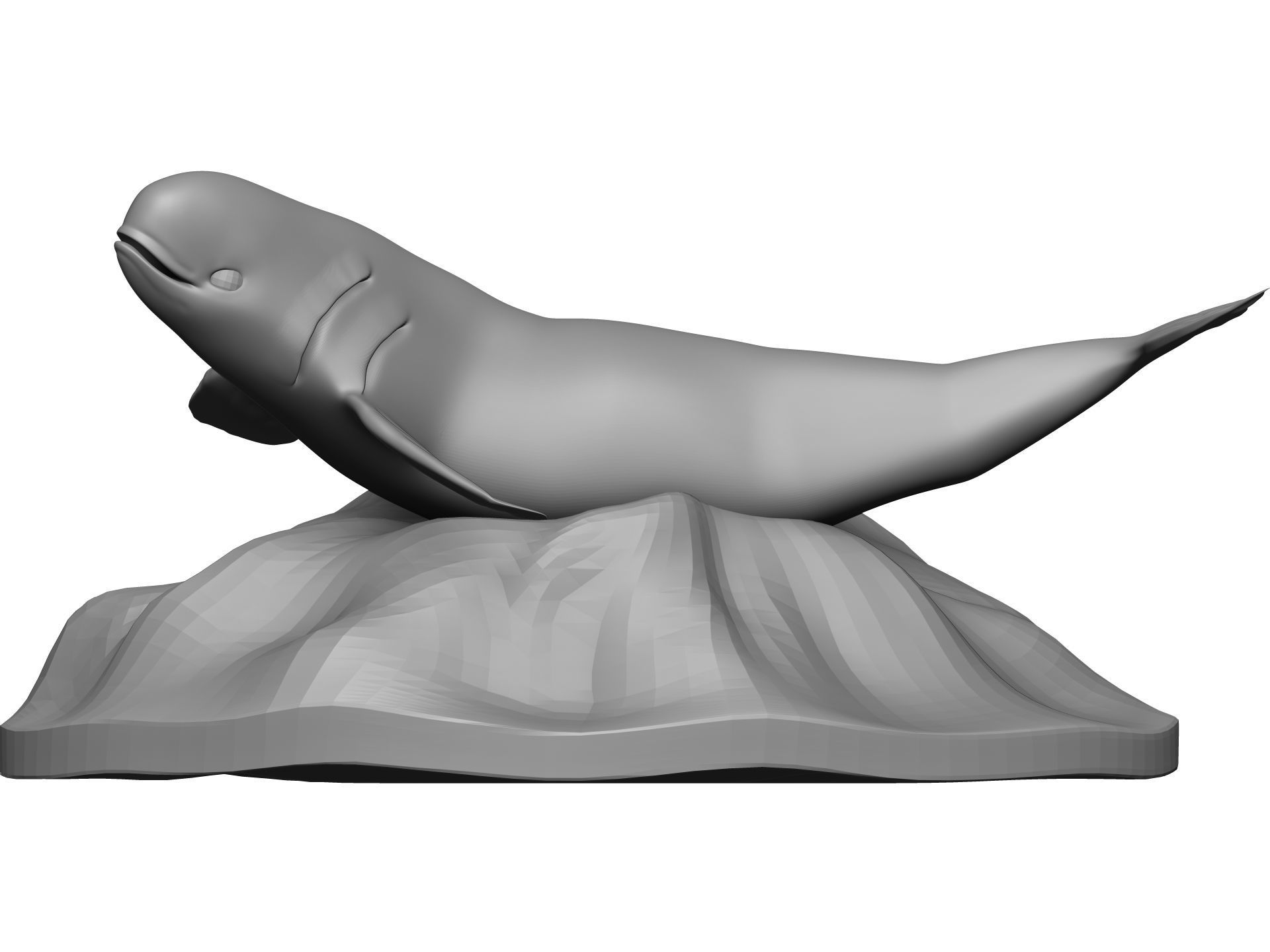 Whale 3D model_3