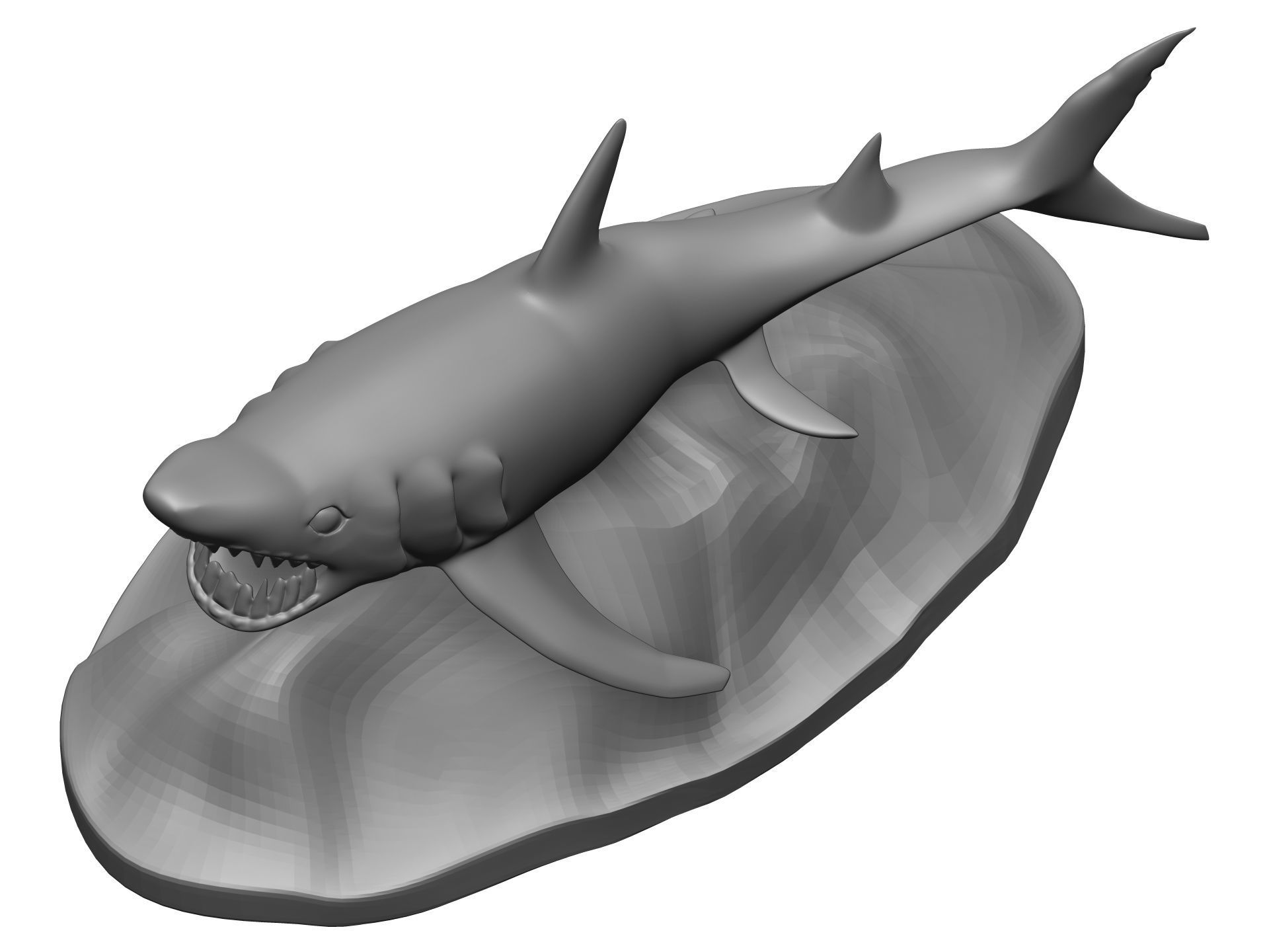 Shark 3D model_9