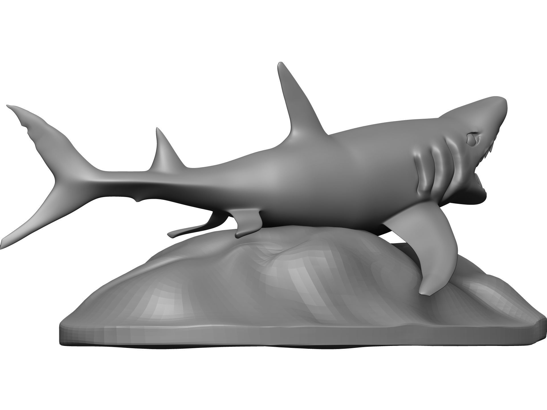 Shark 3D model_6