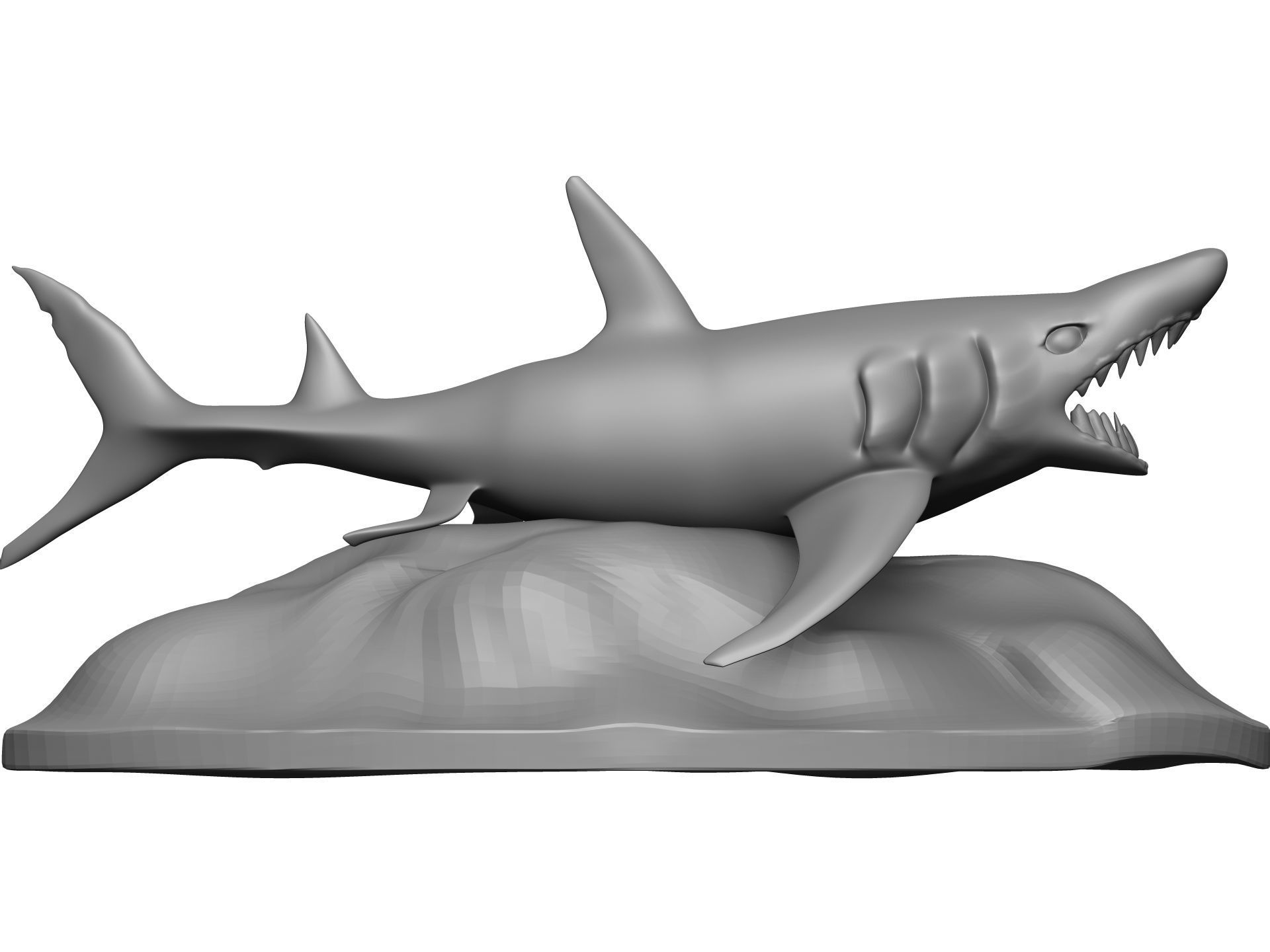 Shark 3D model_7