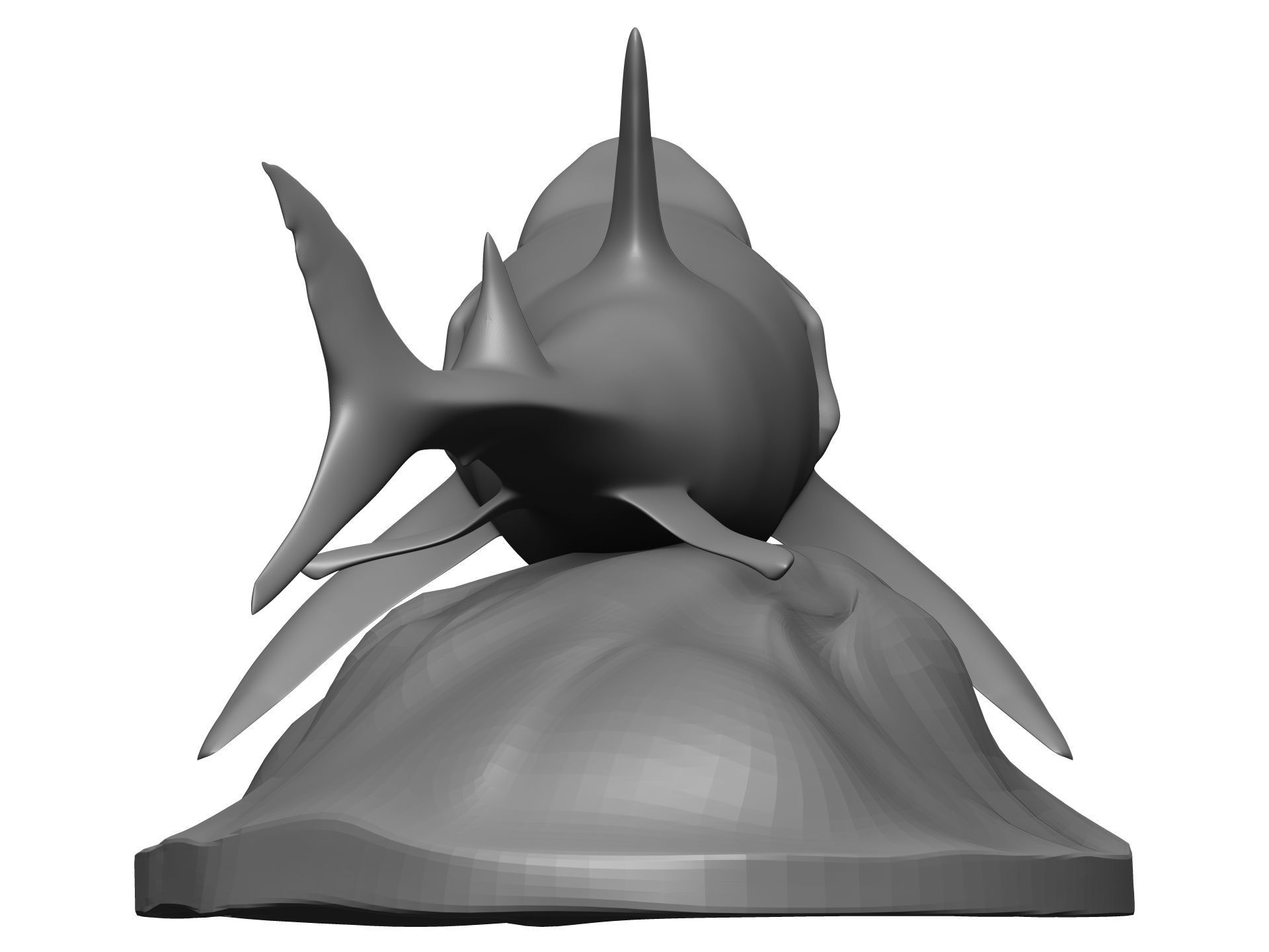 Shark 3D model_5