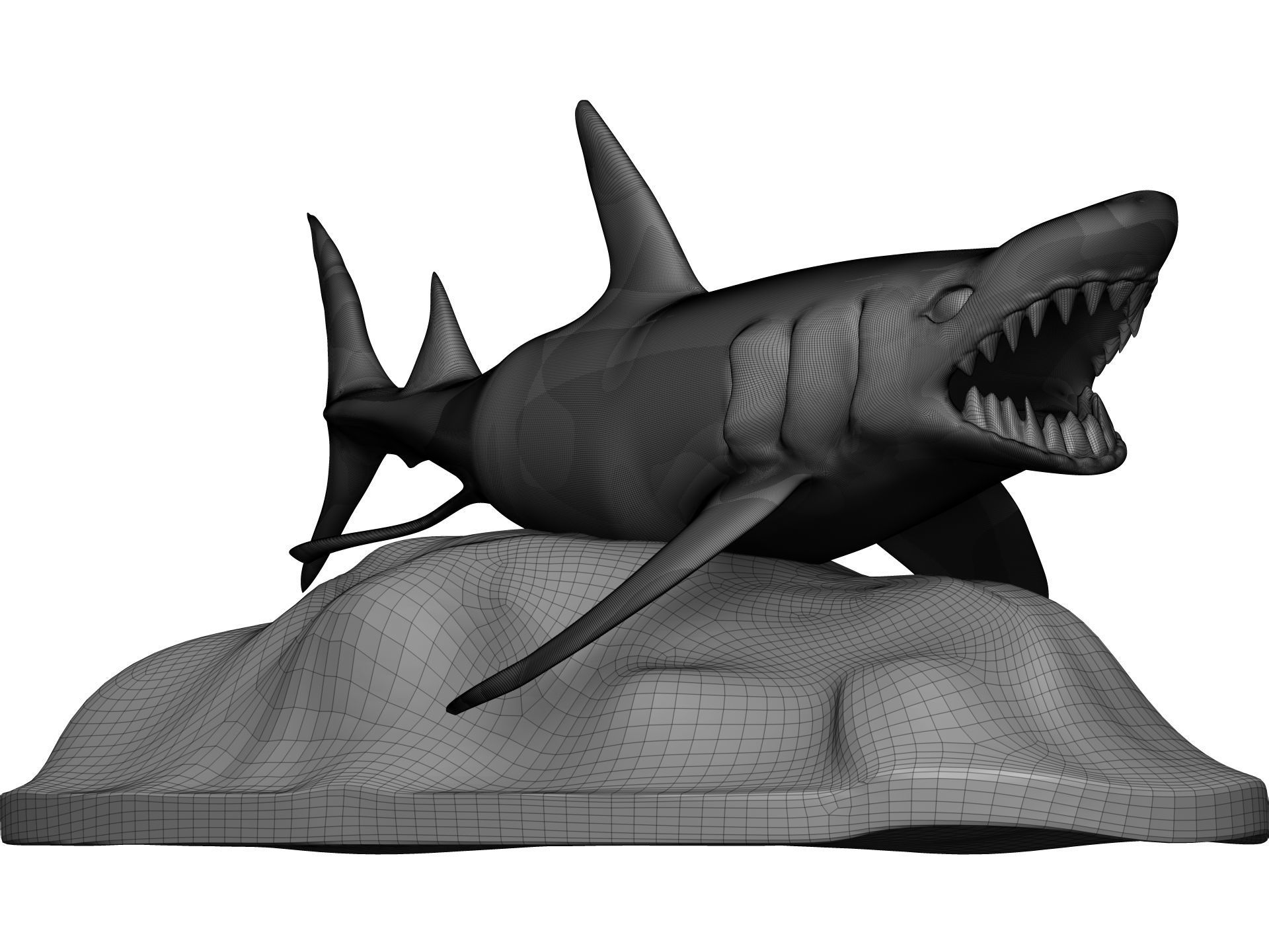 Shark 3D model_11