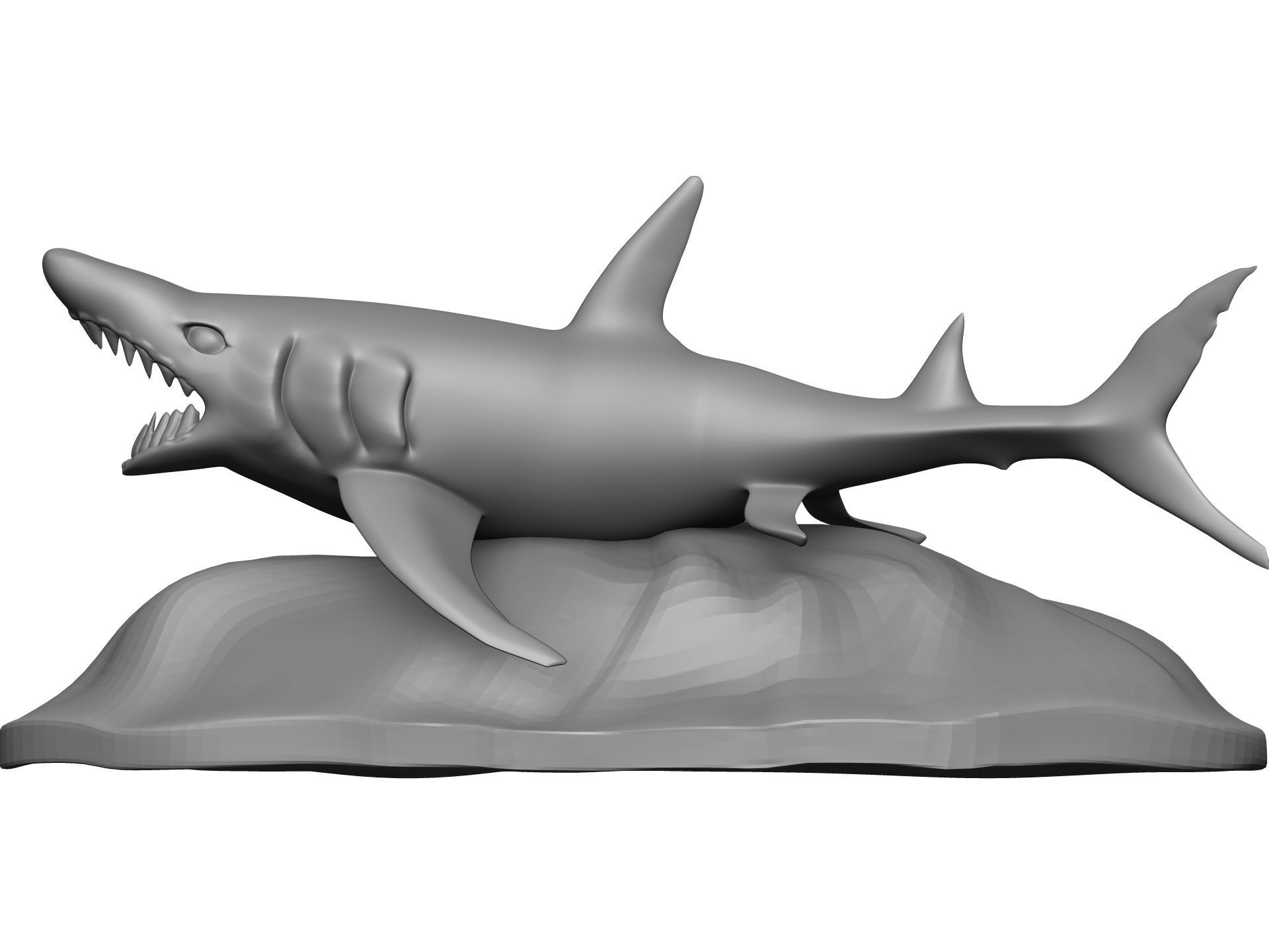Shark 3D model_3