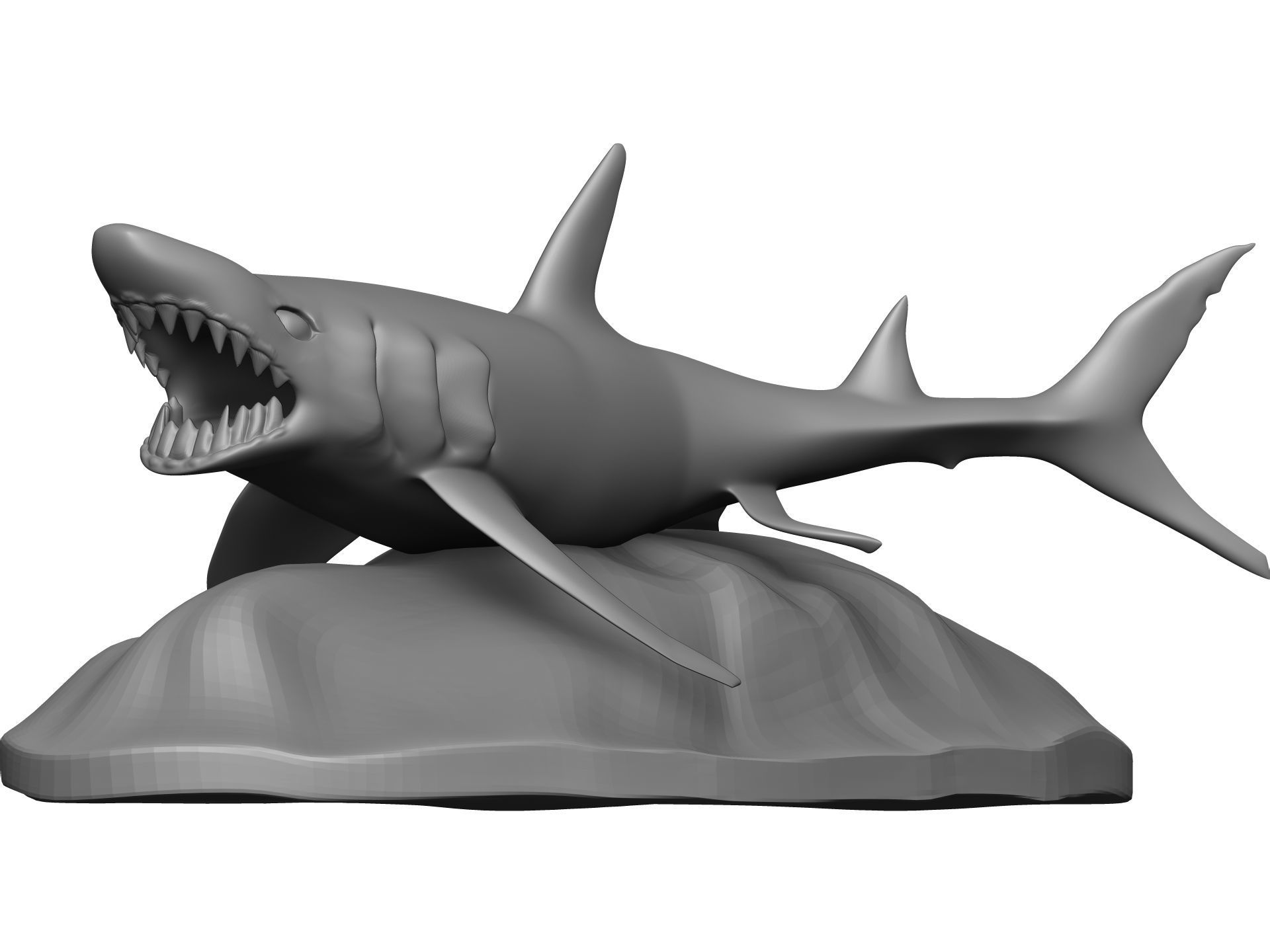 Shark 3D model_2