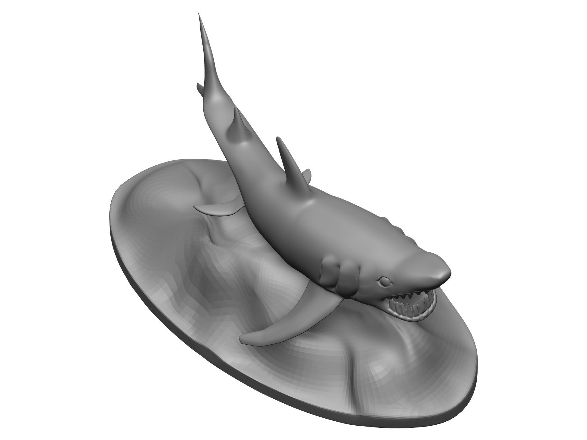 Shark 3D model_8